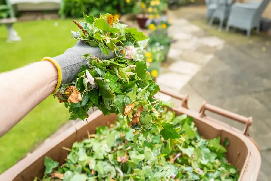 Superior Yard Trash Disposal Brooklyn, NY