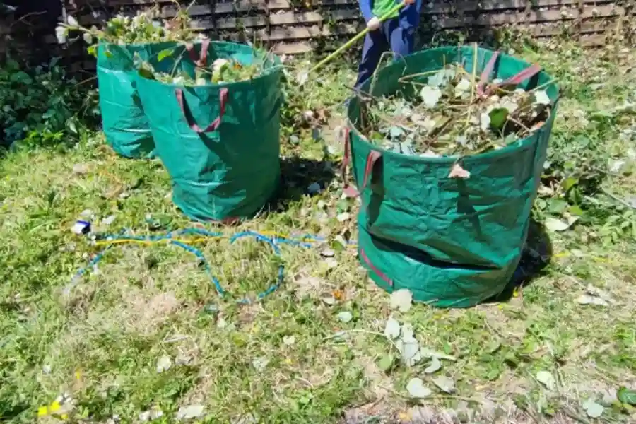 What To Expect When Hiring A Junk Removal Company For Yard Waste Brooklyn, NY