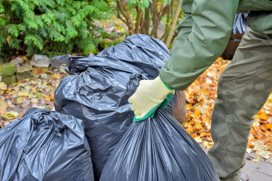 What To Expect When Hiring A Junk Removal Company For Yard Waste in Brooklyn, NY